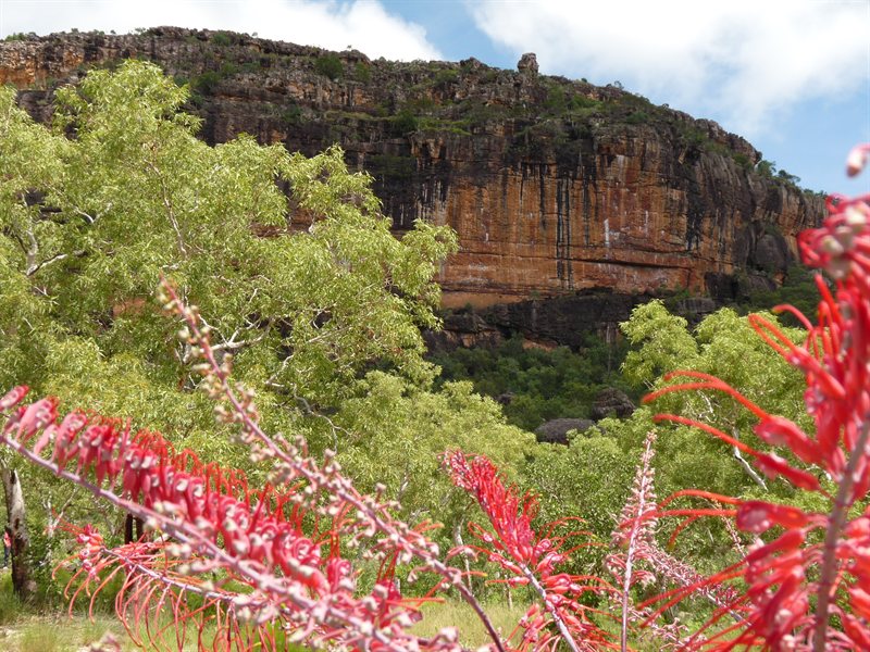 View of the escarpment at Kakadu National Park
