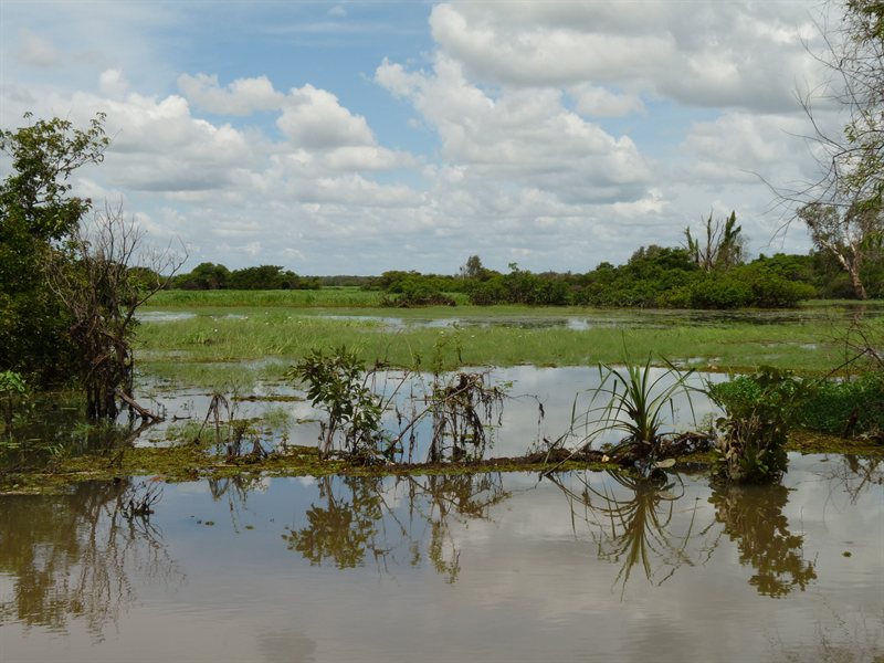 Flooded South Alligator River on Yellow Water Cruise