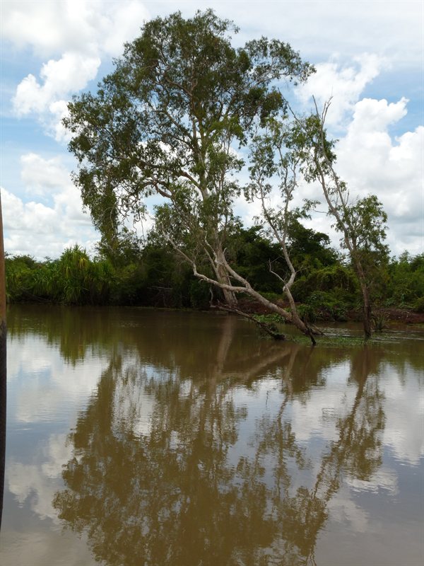 Flooded South Alligator River on Yellow Water Cruise