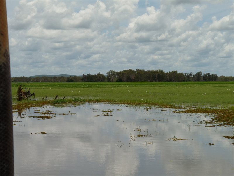 Flooded Yellow Water Billabong on Yellow Water Cruise