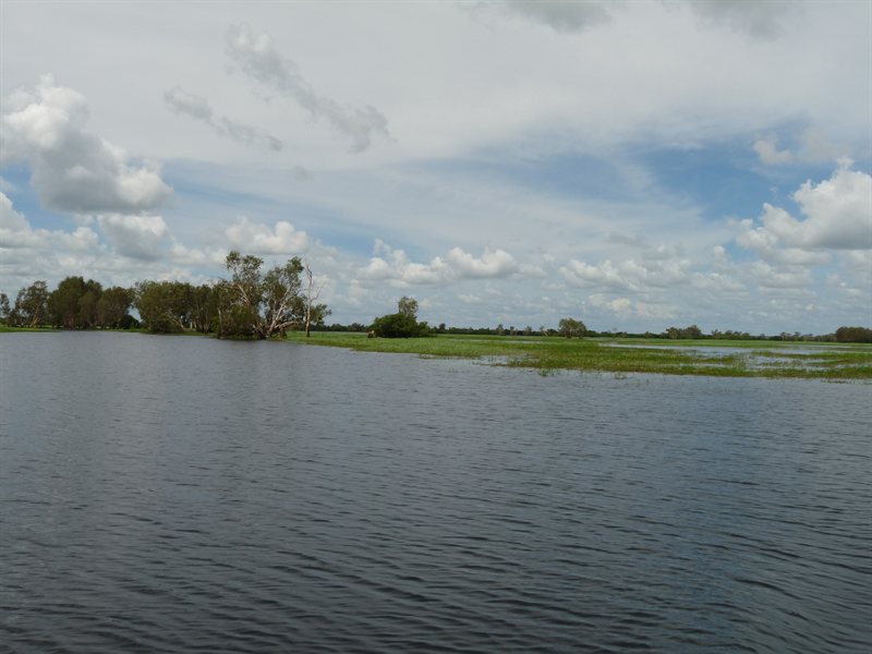 Flooded Yellow Water Billabong on Yellow Water Cruise