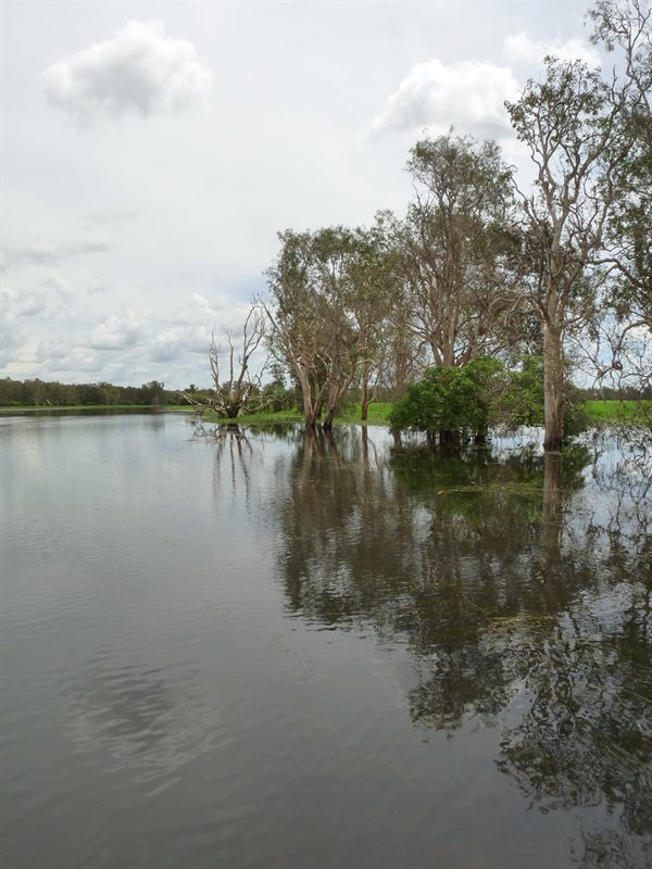 Flooded South Alligator River on Yellow Water Cruise