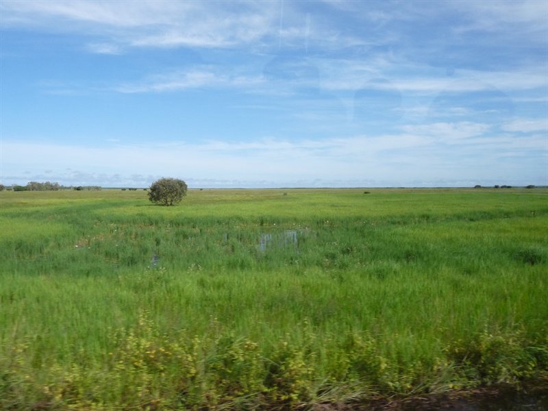 View over the wetlands in Kakadu National Park
