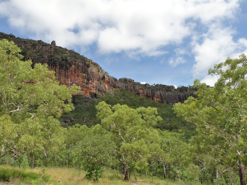 View of the escarpment at Kakadu National Park