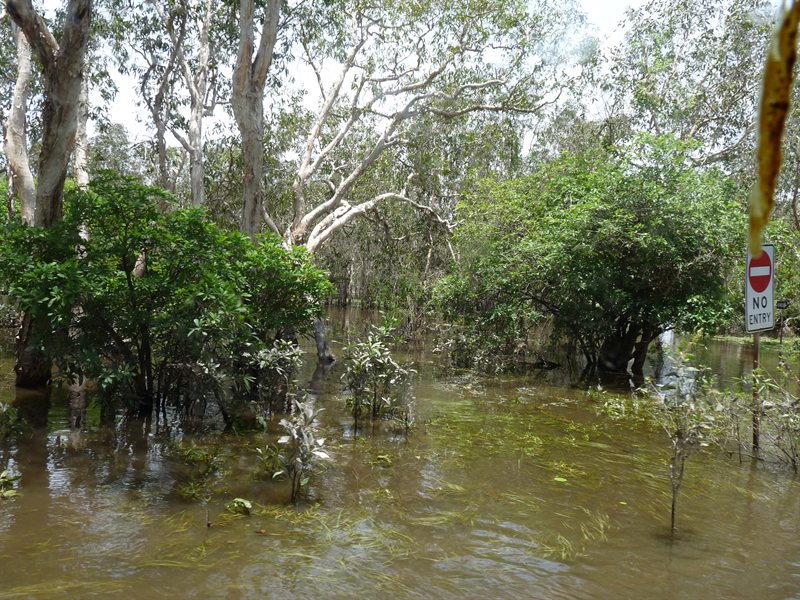 The car park for the Yellow Water Cruise