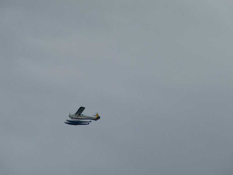 Seaplane over the Reef