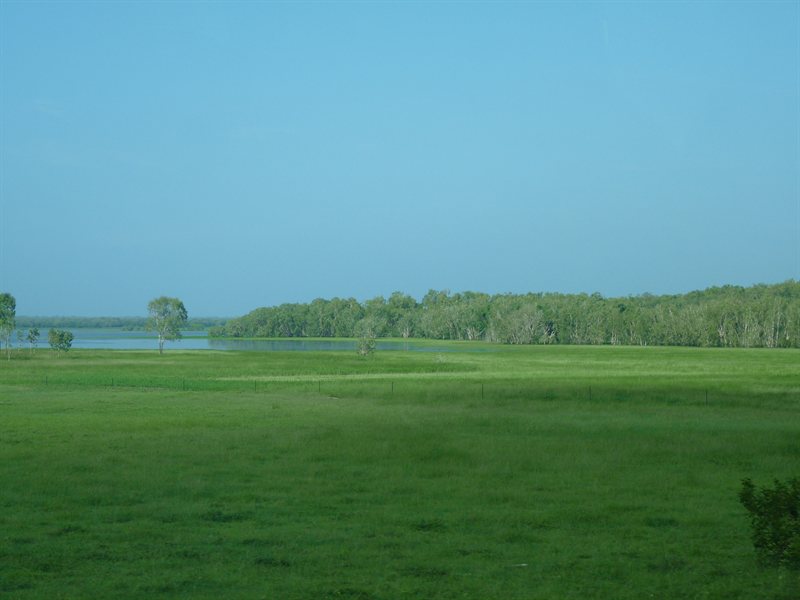 Billabong from the train window
