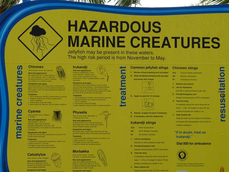 Don't go in the water!