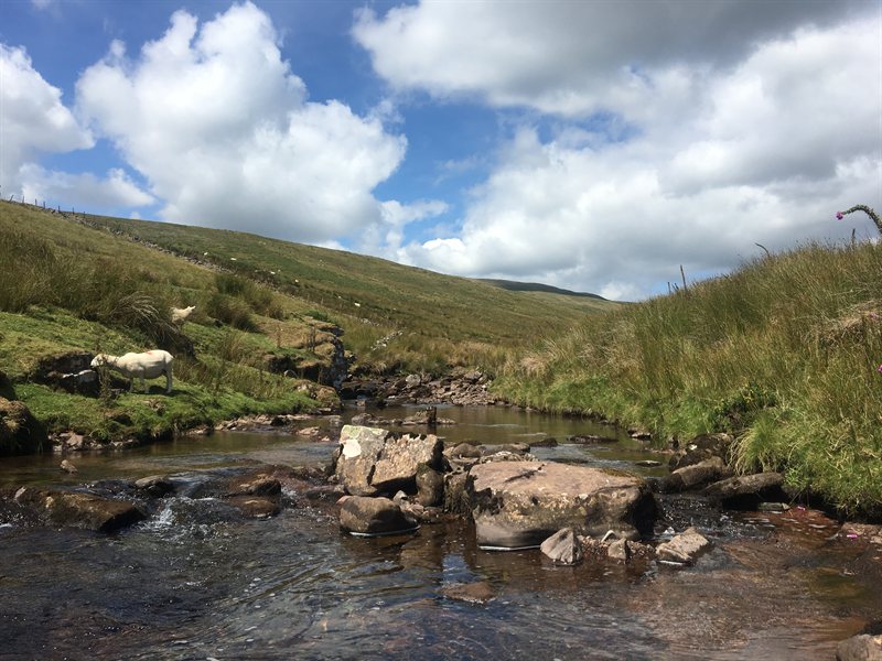 BD4C8623-BA80-4058-B5DA-A8E7842840DE