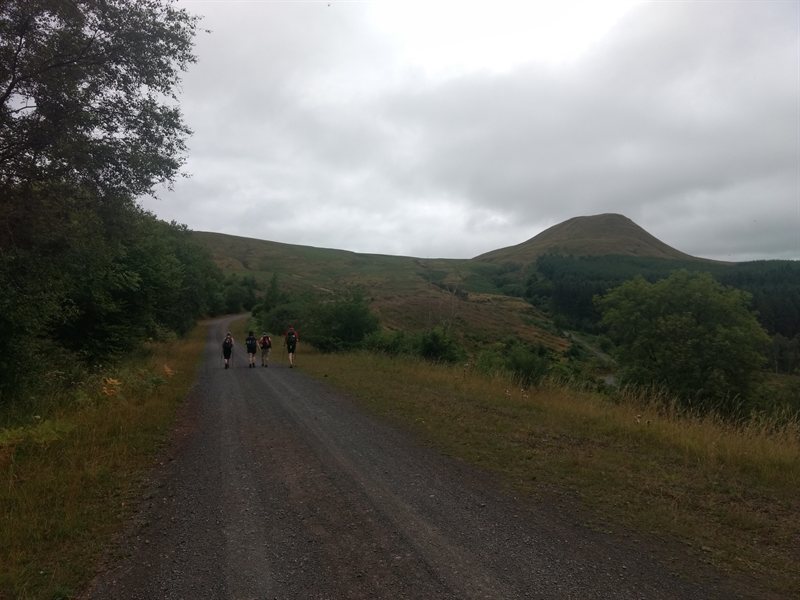 42934154145_c64b22064e_o