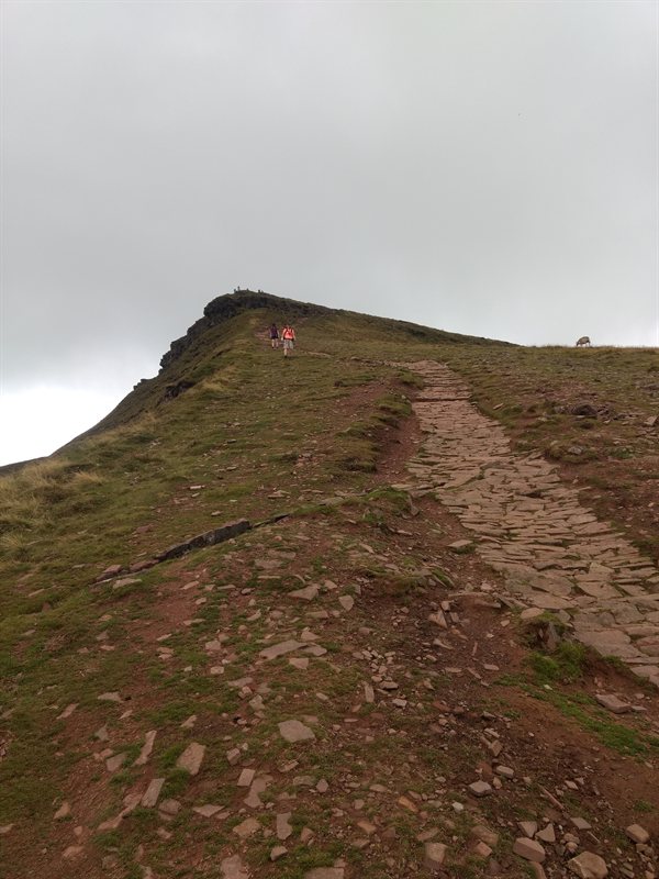 42030057870_21e48257ea_o