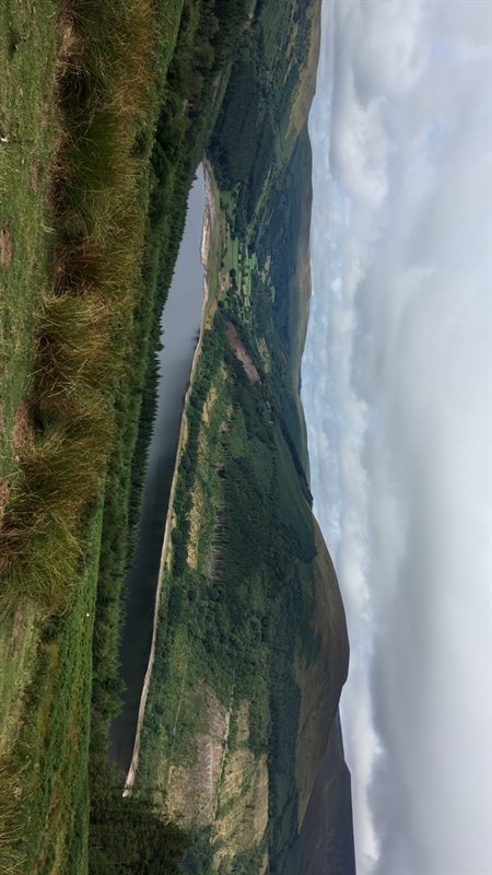 1310E906-AE93-4747-B56F-751DDA33E347