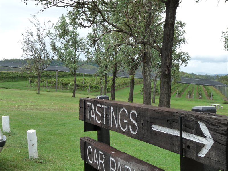 Vineyards and tastings!