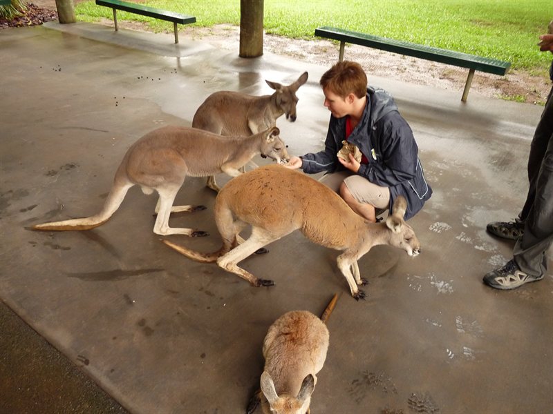Claire feeding the 'roos.