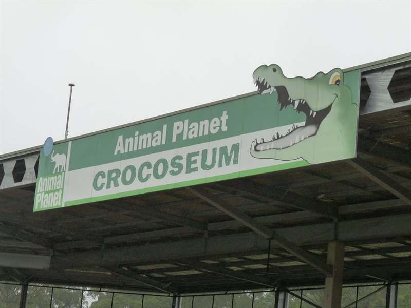 The Crocoseum