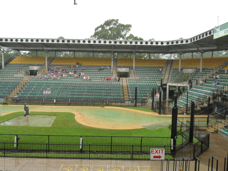 Bird displays in the Crocoseum
