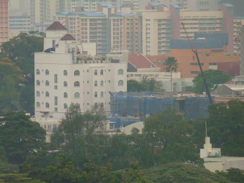 Our hotel from the roof garden