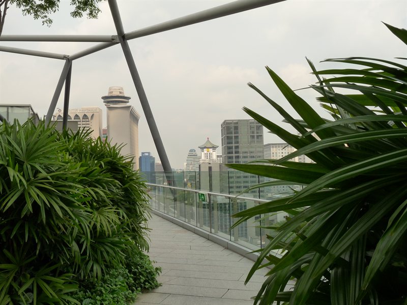 The roof garden at Orchard shopping centre