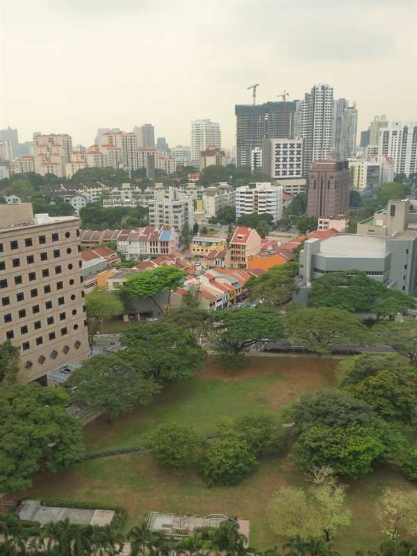 View over Singapore from the roof garden