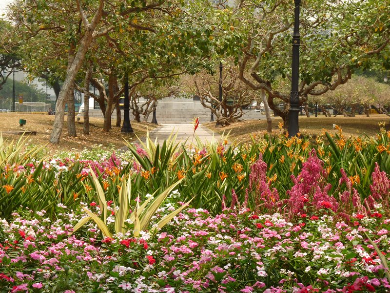 The walk up to the war memorial