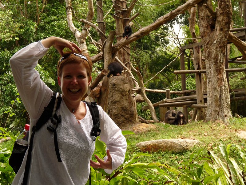 Claire with the Chimpanzes