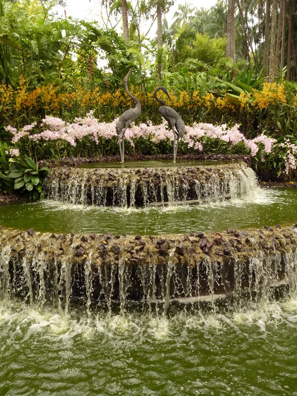Fountain in the orchid garden