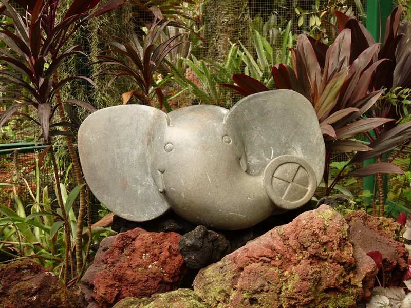 Elephant hiding in the bromeliad house