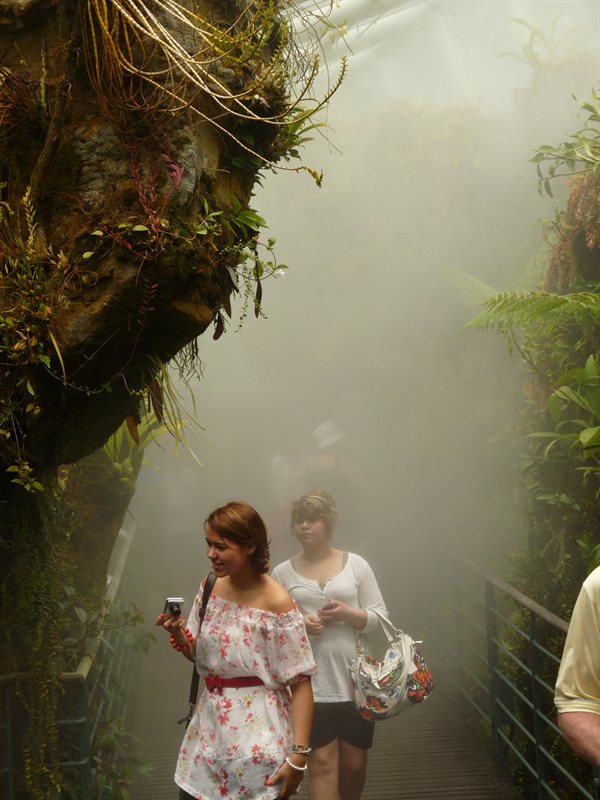 The misty cool house