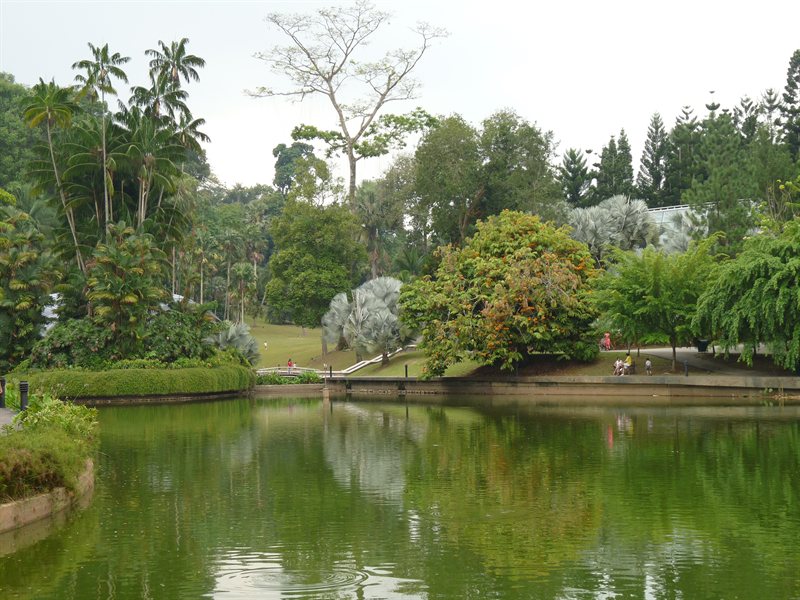 View over the lake in the botanic gardens