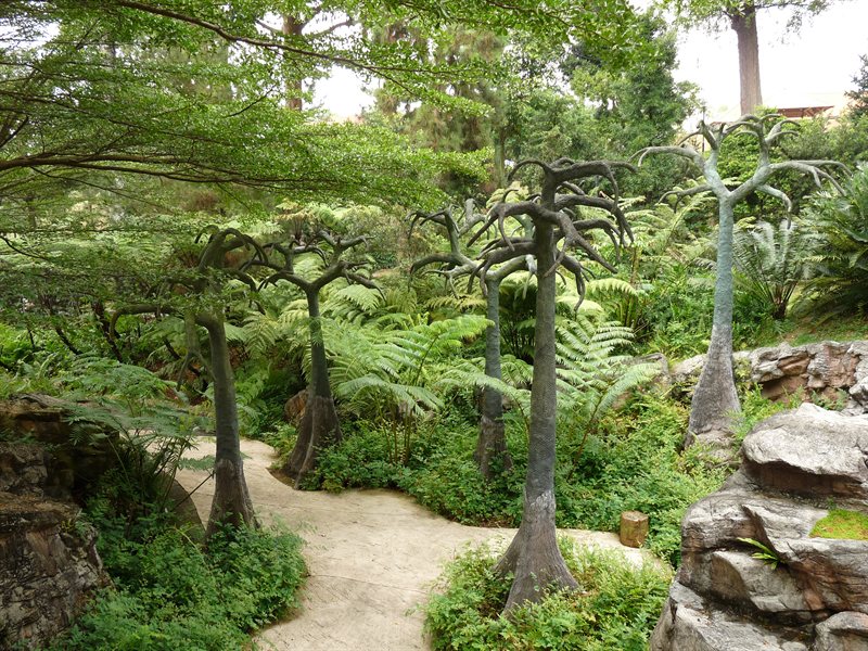 Concrete trees in the evolution garden