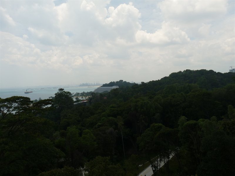 View from the Skyride