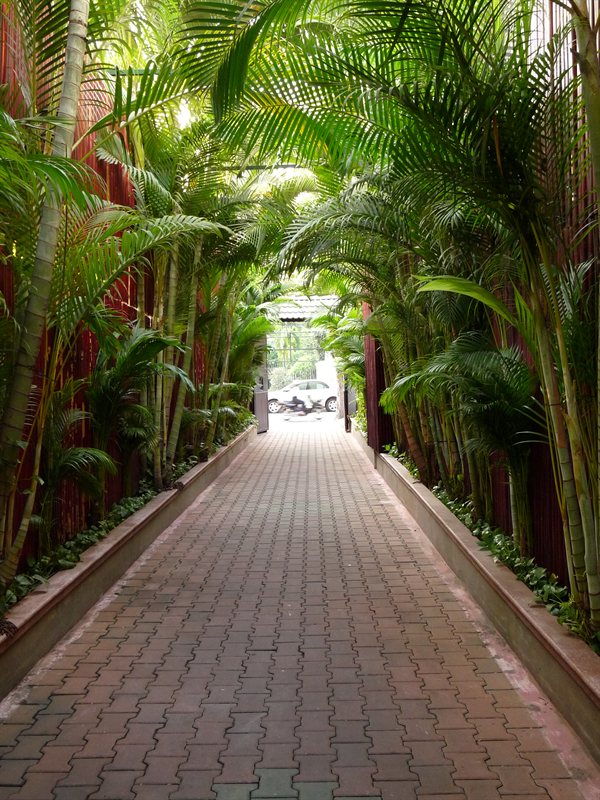 The driveway to the apartments