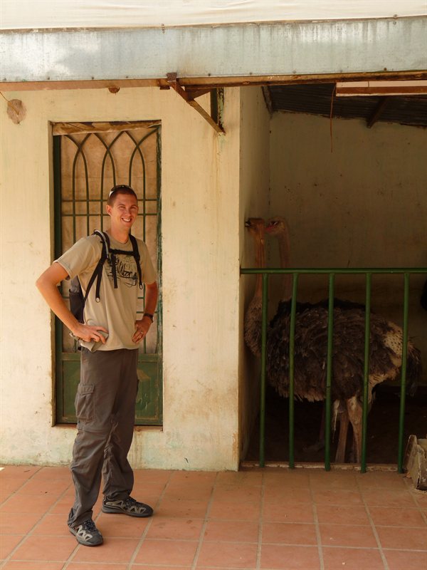 Ed with the ostriches