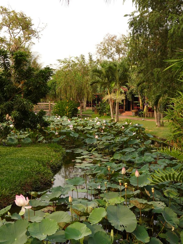 Mekong Delta services