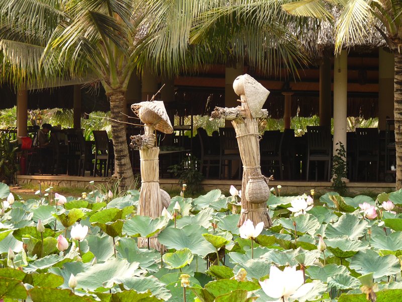 Mekong Delta services