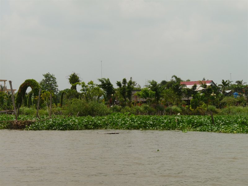 Our lunch stop in the Mekong Delta