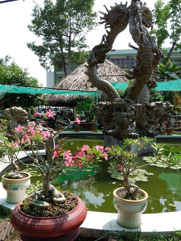 Mekong Delta services