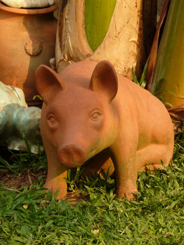 Terracota pig at the Mekong Delta services