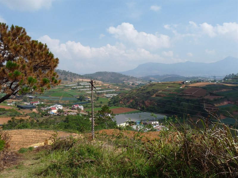 Farmland near Dalat