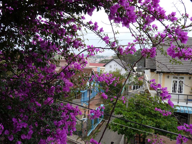 Street view from the Crazy House, Dalat