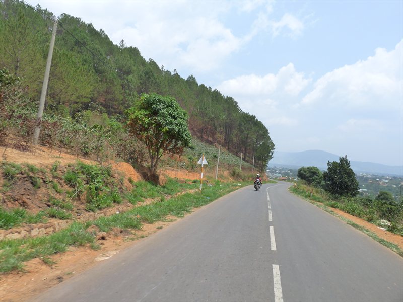 Easy rider tour in Dalat