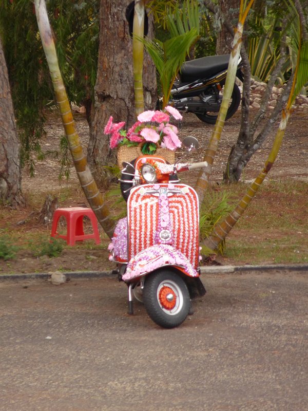 Colourful scooter