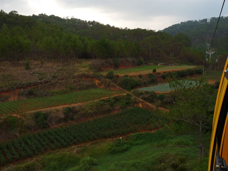 View from the cable car