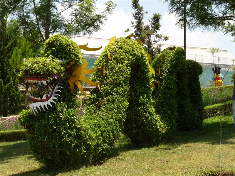 Dragon topiary at Dalat Flower Gardens