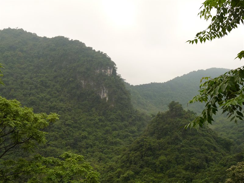 View from the top of the temple complex
