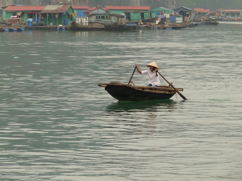 Floating village near Cat Ba