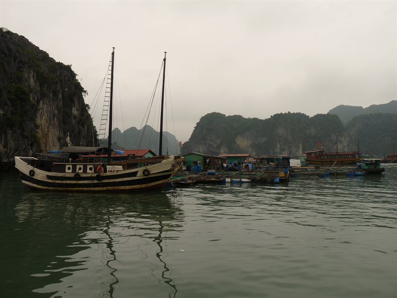 Floating village near Cat Ba