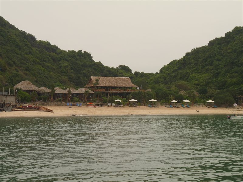 Monkey Island Resort