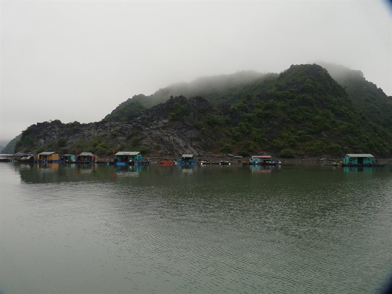 Floating village in Ha Long Bay