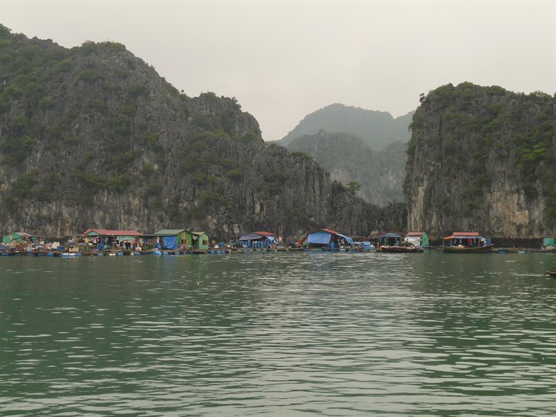 Floating village near Cat Ba